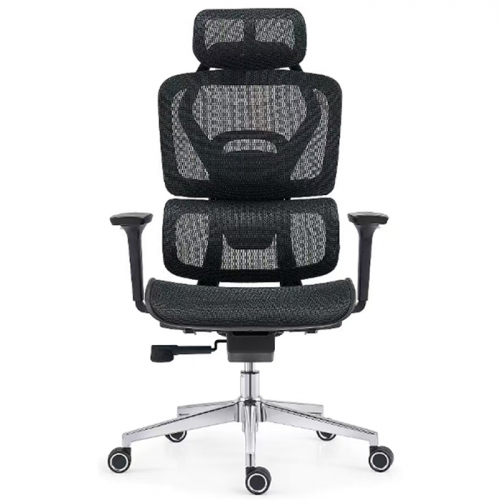 Ghế công thái học A567